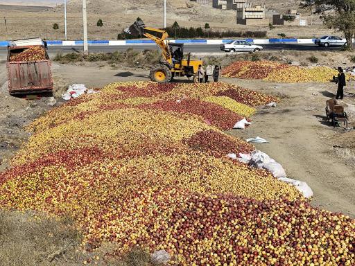 عکس مرکز خرید سیب پیرزاده