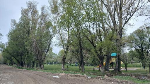 عکس پارک بانوان شهرداری نیر