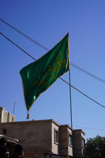 عکس شورین
