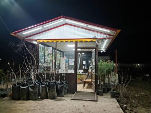 عکس نهالستان محمد حسین ملک زاده