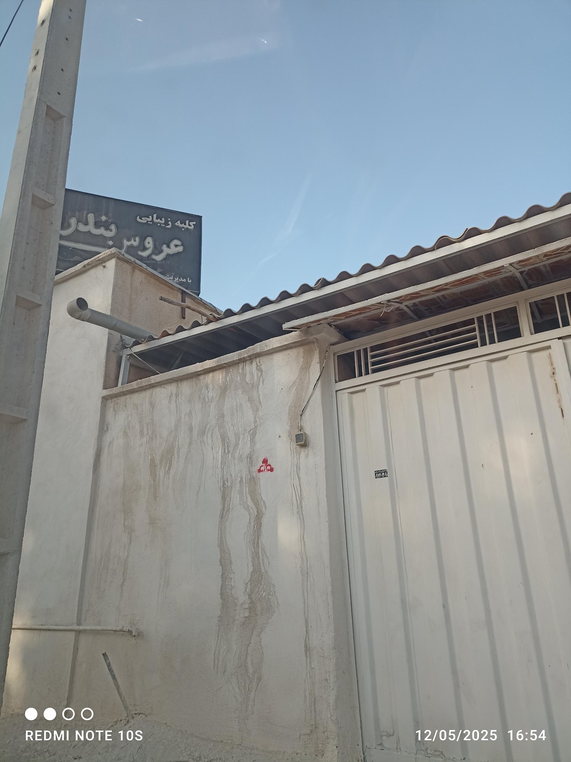 عکس عروس بندر
