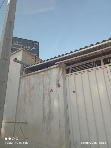 عکس عروس بندر