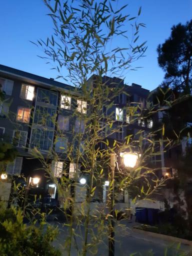 عکس مجتمع هوشمند یاس بهاری