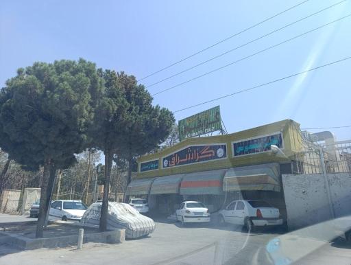 عکس گز اشرافی