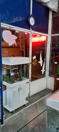 عکس آکواریوم ساحل ۱۱۰