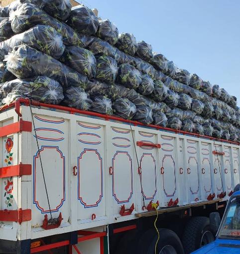 عکس میدان میوه و تره بار خرم آباد