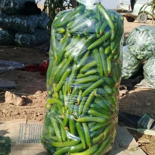 عکس میدان میوه و تره بار خرم آباد