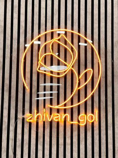 عکس گل فروشی ژیوان گل