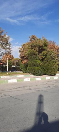 عکس پارک بعثت