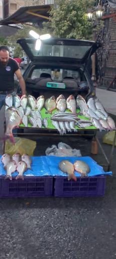 عکس مرغ و ماهی فروشی دهسرائی (علیرضا)