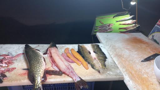 عکس مرغ و ماهی فروشی دهسرائی (علیرضا)