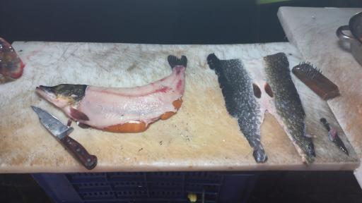 عکس مرغ و ماهی فروشی دهسرائی (علیرضا)