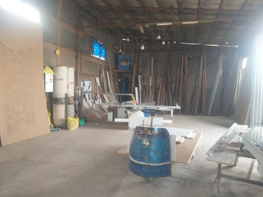 عکس کالا چوب پرهیزکار