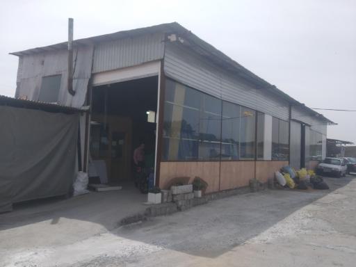 عکس کالا چوب پرهیزکار