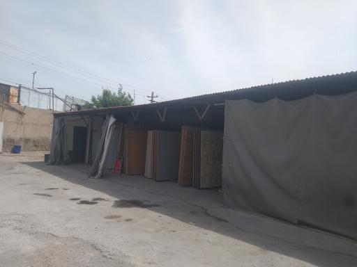 عکس کالا چوب پرهیزکار