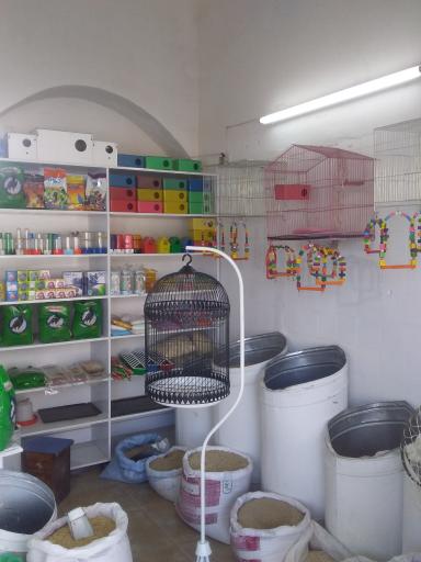 عکس خوراک پرنده عرفان 