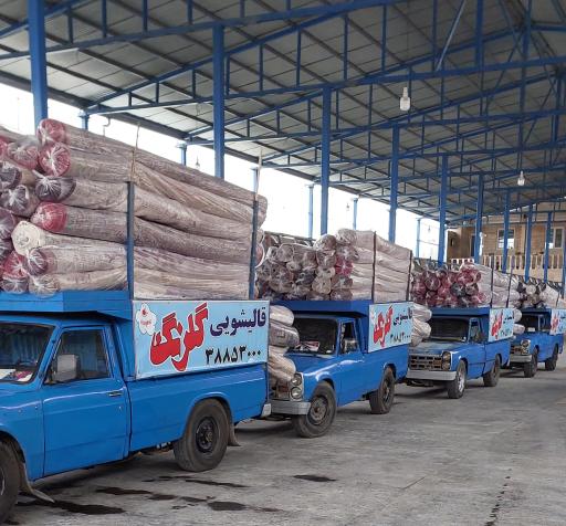 عکس قالیشویی گلرنگ 