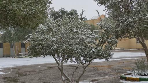 عکس اردوگاه دانش آموزی سیدالشهداء