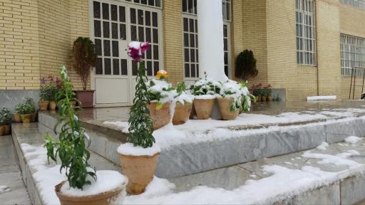 عکس اردوگاه دانش آموزی سیدالشهداء