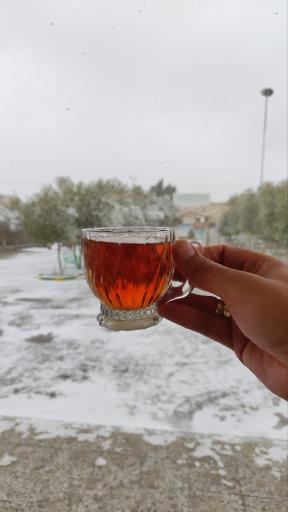 عکس اردوگاه دانش آموزی سیدالشهداء