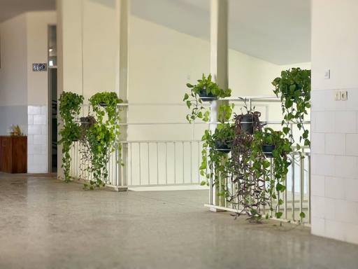 عکس اردوگاه دانش آموزی سیدالشهداء