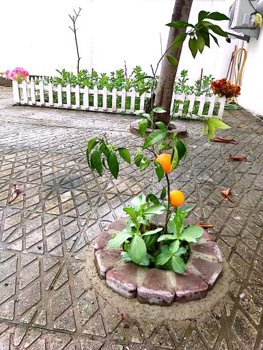 عکس خانه مسافر عسکرپور