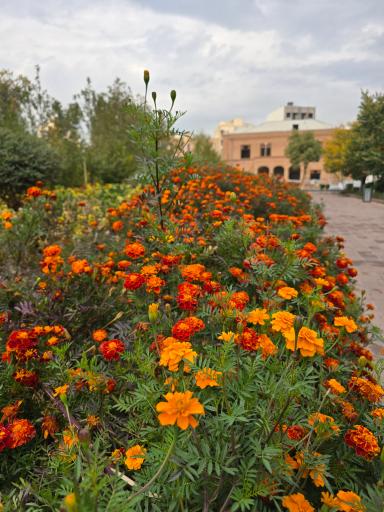 عکس بوستان و عمارت وثوق الدوله سلیمانیه