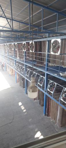 عکس قالیشویی گلرنگ 