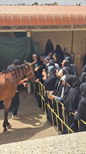 عکس اردوگاه دانش آموزی سیدالشهداء