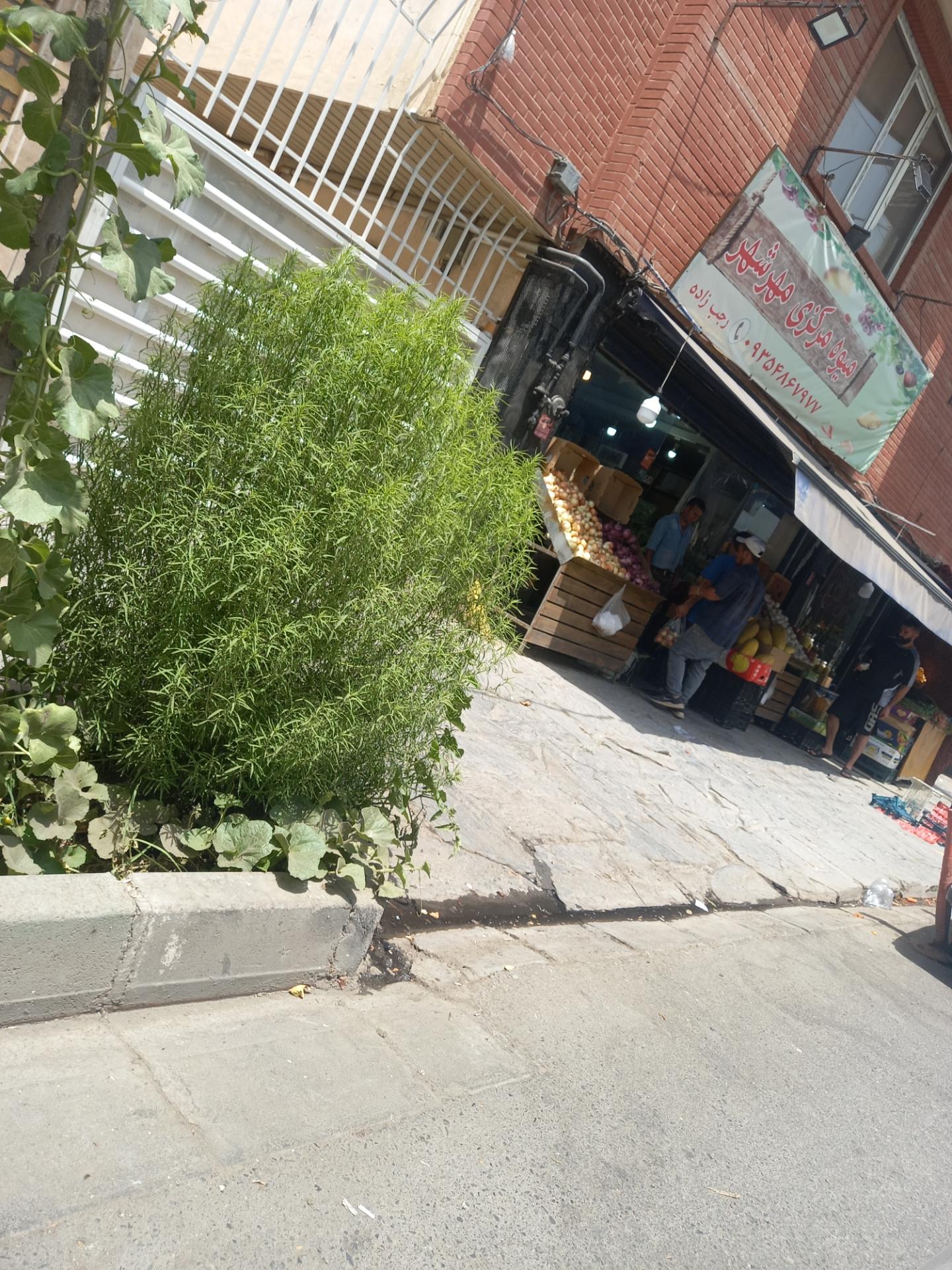 عکس میوه فروشی مهرشهر
