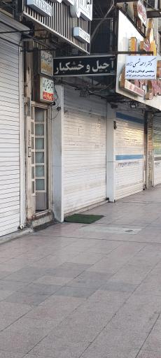 عکس دکتر احمد شمسی زاده حیات داودی