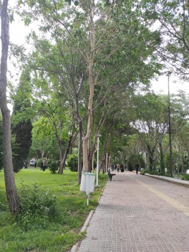 عکس پارک زاینده رود