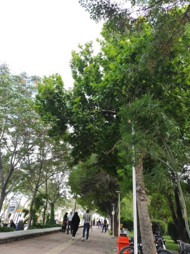 عکس پارک زاینده رود