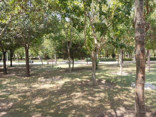 عکس پارک ایثارگران