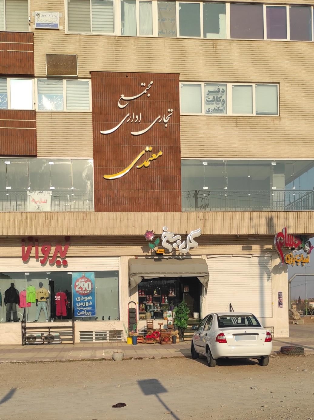 عکس گل یخ - شعبه ۲