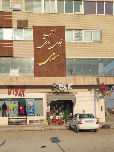 عکس گل یخ - شعبه ۲