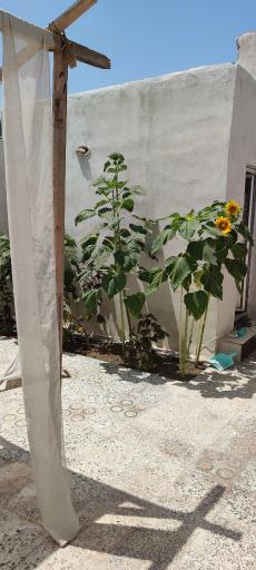 عکس اقامتگاه هزار و یک شب