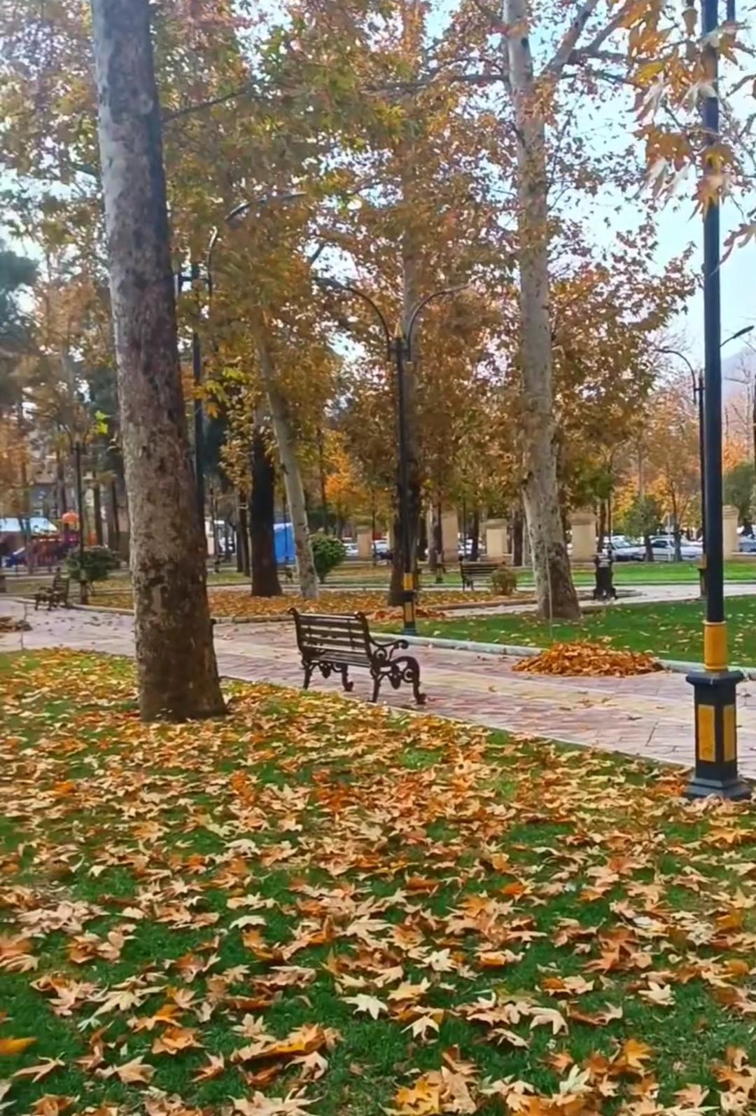 عکس پارک شهر