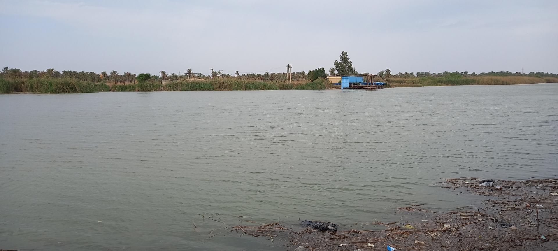 عکس بوستان جنگلی