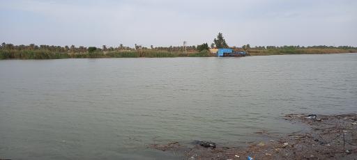 بوستان جنگلی