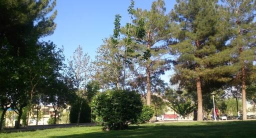 عکس پارک زاینده رود