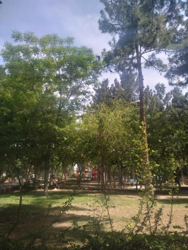 عکس شهید میر هادی