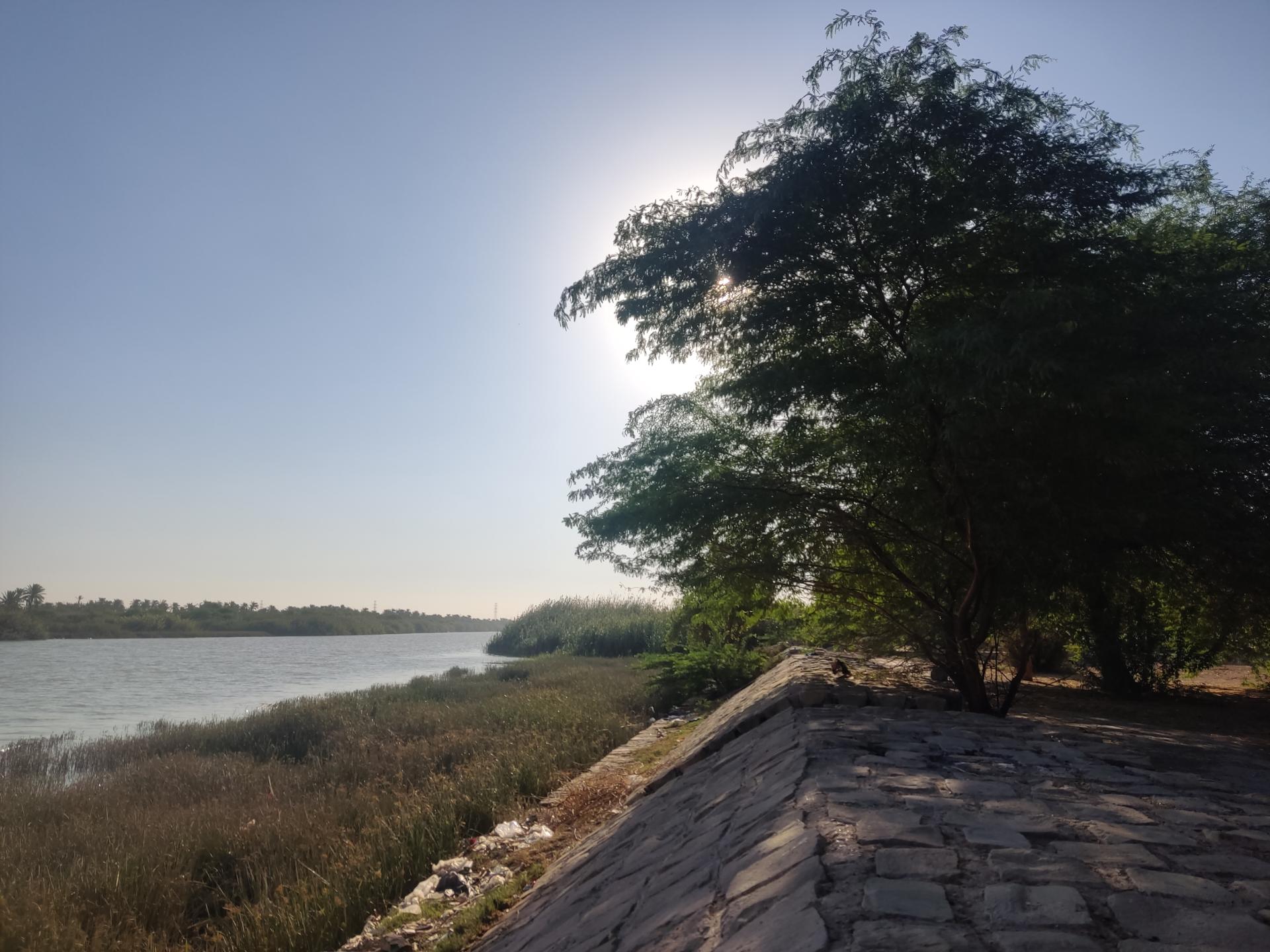 عکس بوستان جنگلی