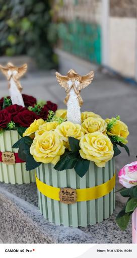 عکس گل یخ - شعبه ۲