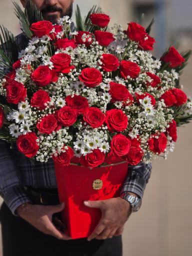 عکس گل یخ - شعبه ۲