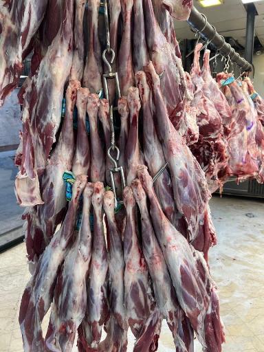 عکس سوپر پروتئین برادران