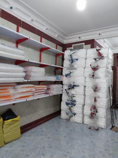 عکس یکبار مصرف نخل 