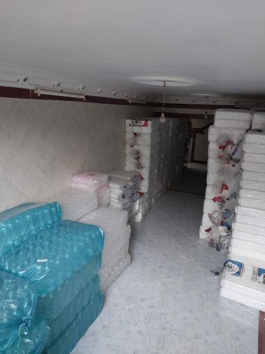 عکس یکبار مصرف نخل 