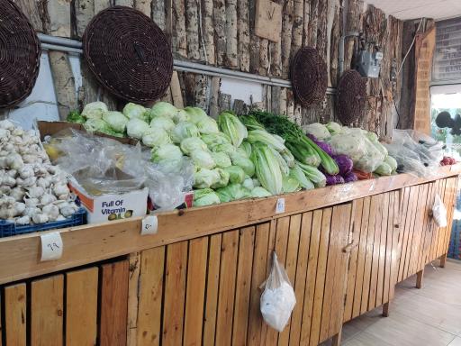 عکس آقای میوه