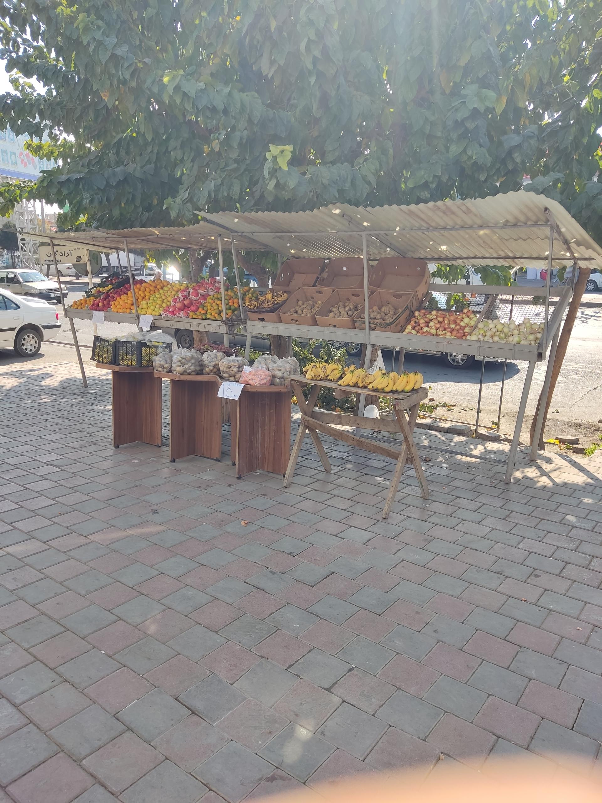 عکس آقای میوه